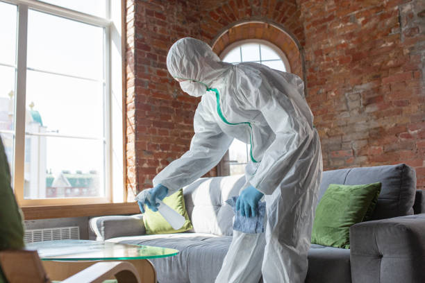 Best Emergency Mold Remediation in Trophy Clu, TX