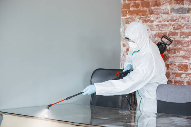 Best Crawl Space Mold Remediation in Trophy Clu, TX