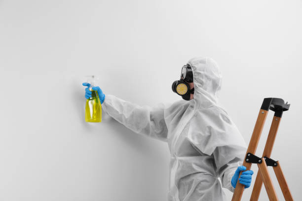 Best Biohazard Mold Removal in Trophy Clu, TX