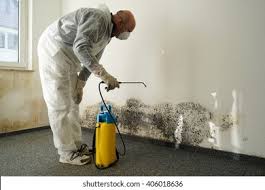 Why You Should Choose Our Mold Remediation Services in Trophy Clu, TX